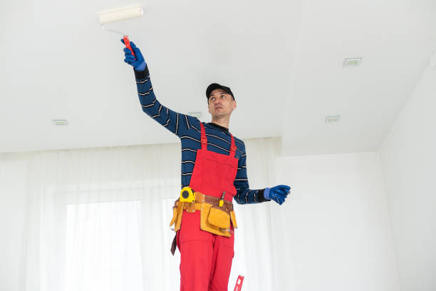 Best Attic Mold Removal  in Salmon Creek, WA